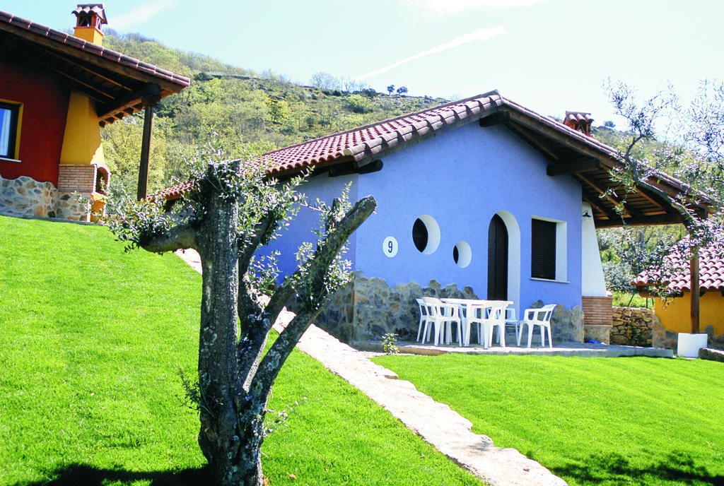 Manolo Casas del Monte